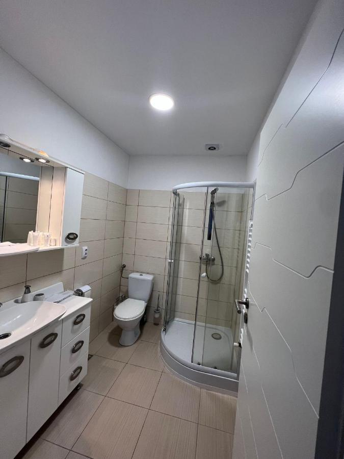 Apartament Teodora Sibiu Apartment Екстериор снимка
