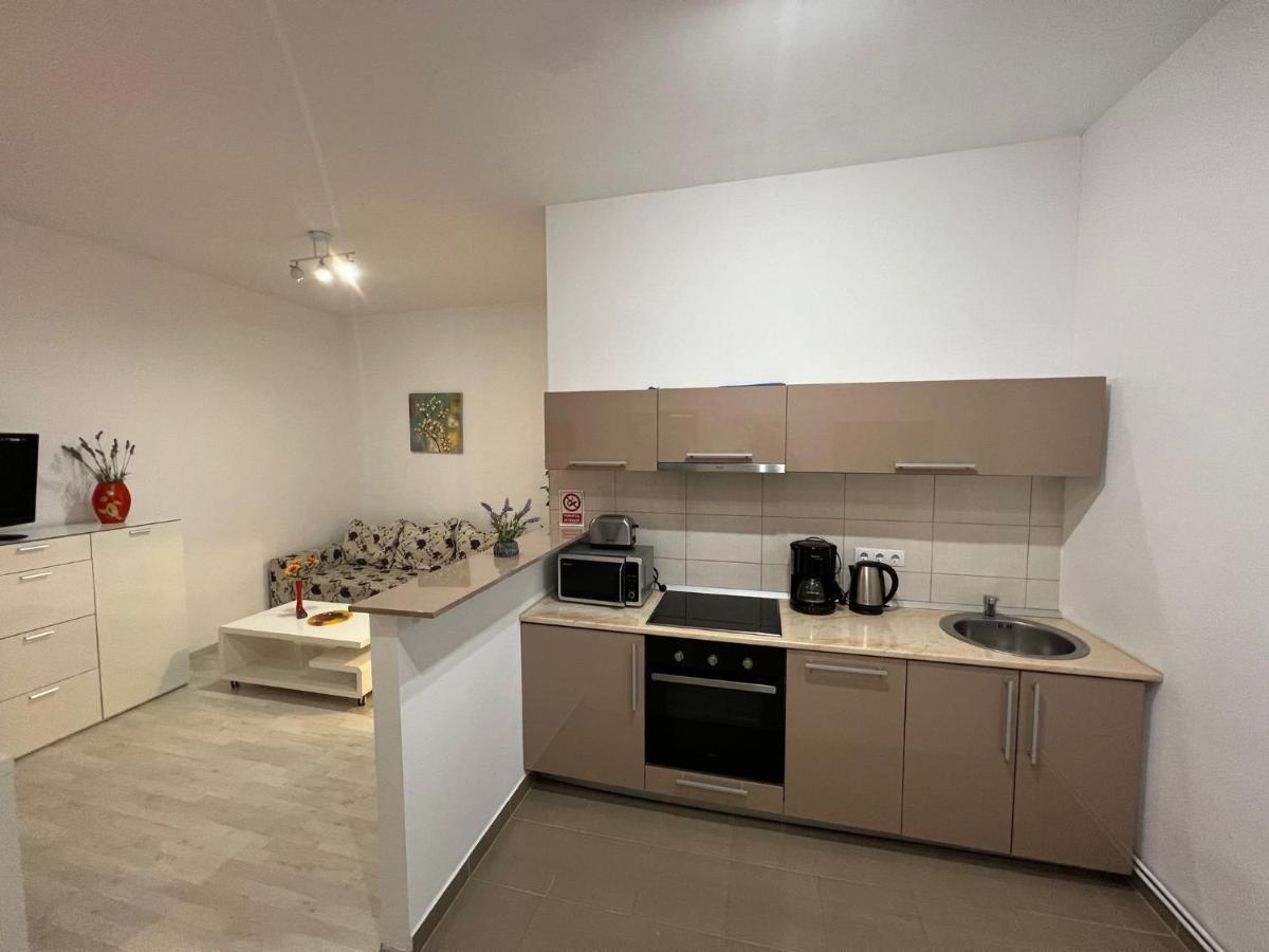 Apartament Teodora Sibiu Apartment Екстериор снимка