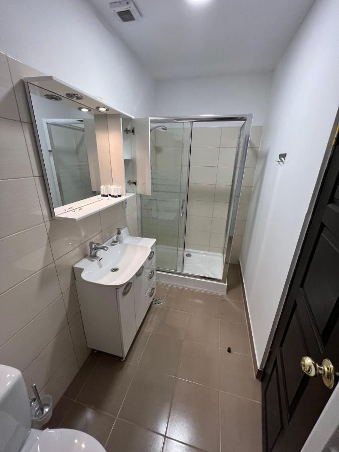 Apartament Teodora Sibiu Apartment Екстериор снимка
